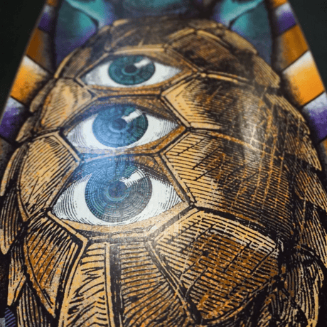 Timber Board Tortuga 2.0