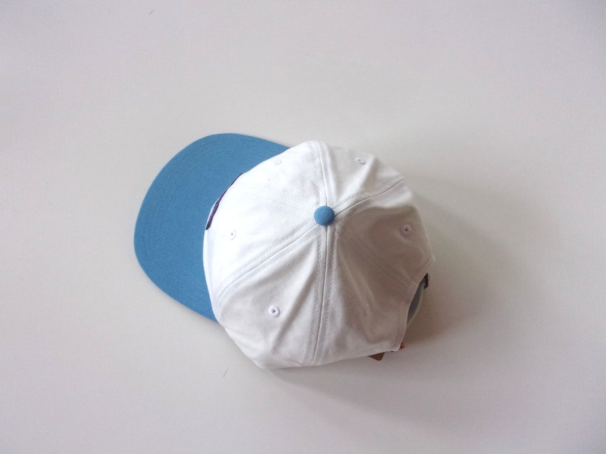 Patagonia P-6 LABEL TRAD CAP / パタゴニア P-6 ラベル トラ