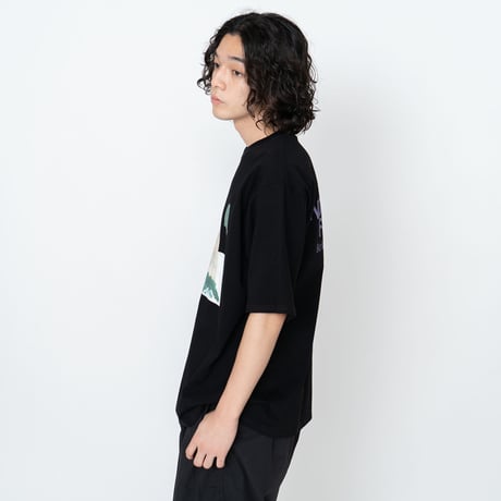 THE NORTH FACE PURPLE LABEL H/S Graphic Tee / NT3330N /パープルレーベル グラフィック Tee