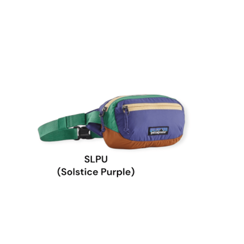 Patagonia/パタゴニア Terravia Mini Hip Pack 1L / テラヴ