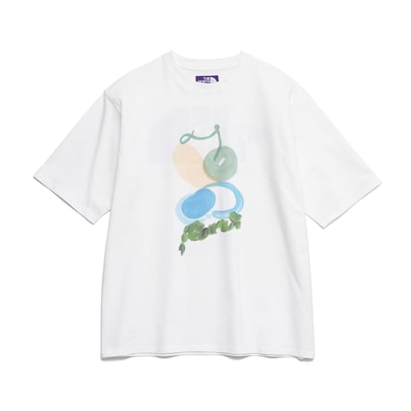 THE NORTH FACE PURPLE LABEL H/S Graphic Tee / NT3331N /パープルレーベル グラフィック Tee / ボタニカル Tee