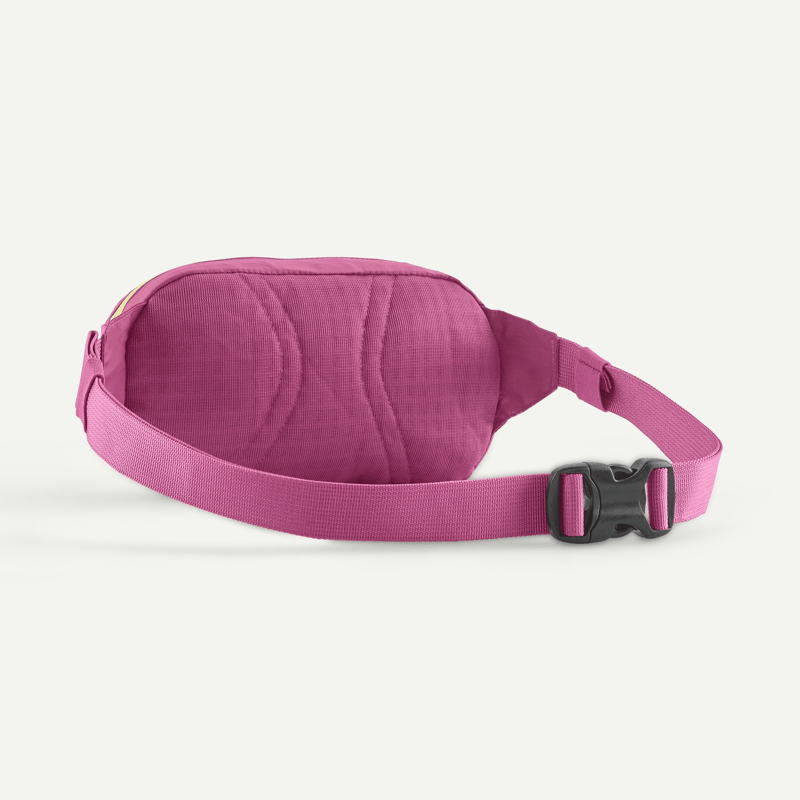 Patagonia/パタゴニア Terravia Mini Hip Pack 1L / テラヴ