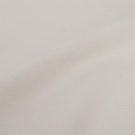 CURLY&co BIO TEE CREW-NECK (S/S) - 251-110314 /カーリー バイオ クルーネック ショートスリーブTシャツ 【2025SS】