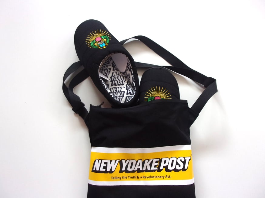 今年はムーン&スカラベ。NEW YOAKE POST/ニューヨアケポスト 今年はムーン&スカラベ。NEW YOAKE POST/ニューヨアケポスト