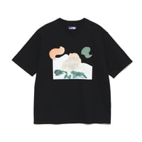 THE NORTH FACE PURPLE LABEL H/S Graphic Tee / NT3330N /パープルレーベル グラフィック Tee