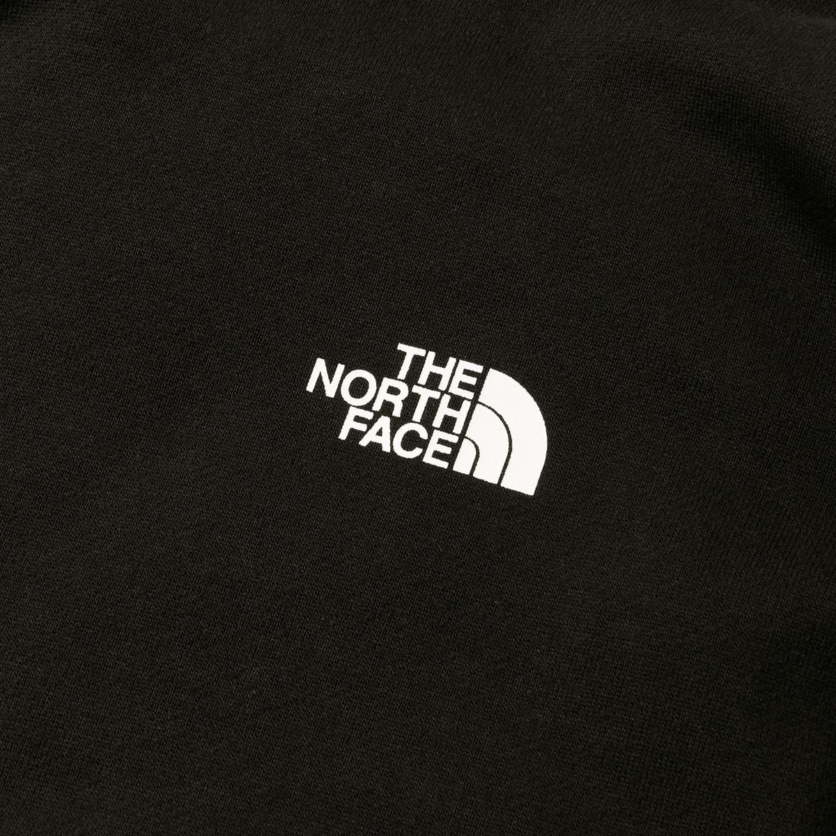 THE NORTH FACE NEVER STOP ING Hoodie / NT62333