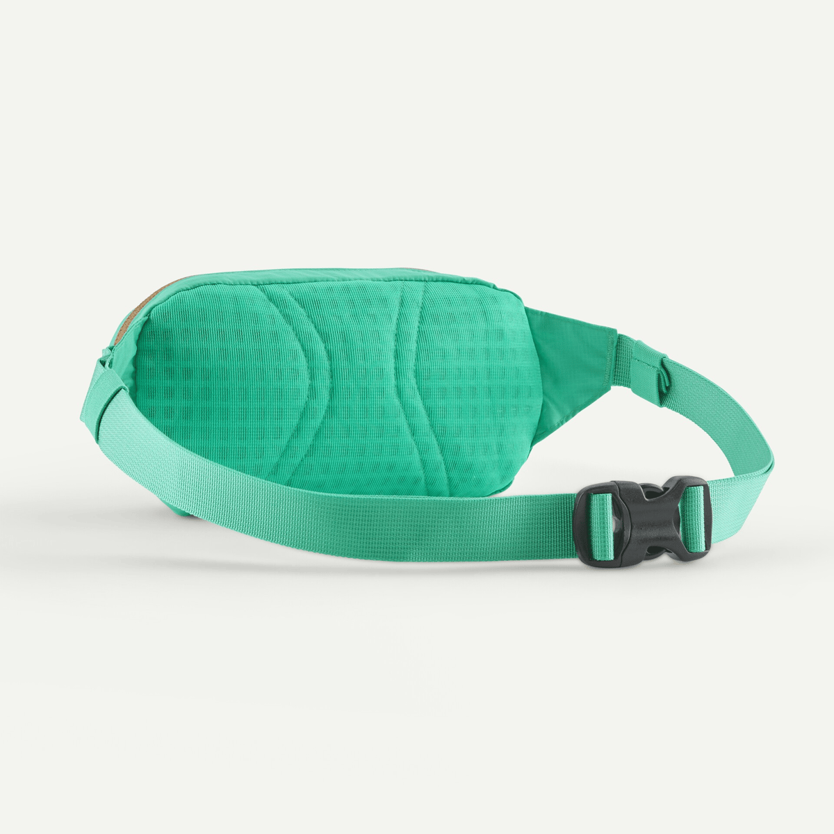 Patagonia/パタゴニア Terravia Mini Hip Pack 1L / テラヴ