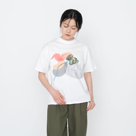 THE NORTH FACE PURPLE LABEL H/S Graphic Tee / NT3331N /パープルレーベル グラフィック Tee / ボタニカル Tee