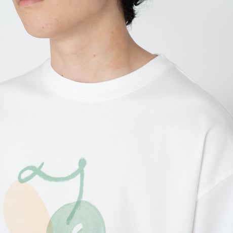 THE NORTH FACE PURPLE LABEL H/S Graphic Tee / NT3331N /パープルレーベル グラフィック Tee / ボタニカル Tee