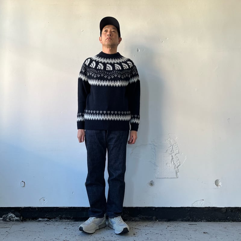 THE NORTH FACE Half Dome Nordic Sweater ハーフドームノ
