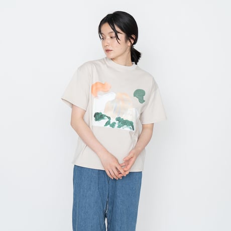 THE NORTH FACE PURPLE LABEL H/S Graphic Tee / NT3330N /パープルレーベル グラフィック Tee