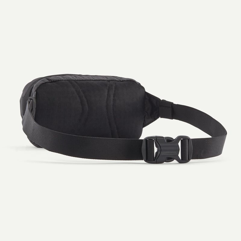 Patagonia/パタゴニア Terravia Mini Hip Pack 1L / テラヴ