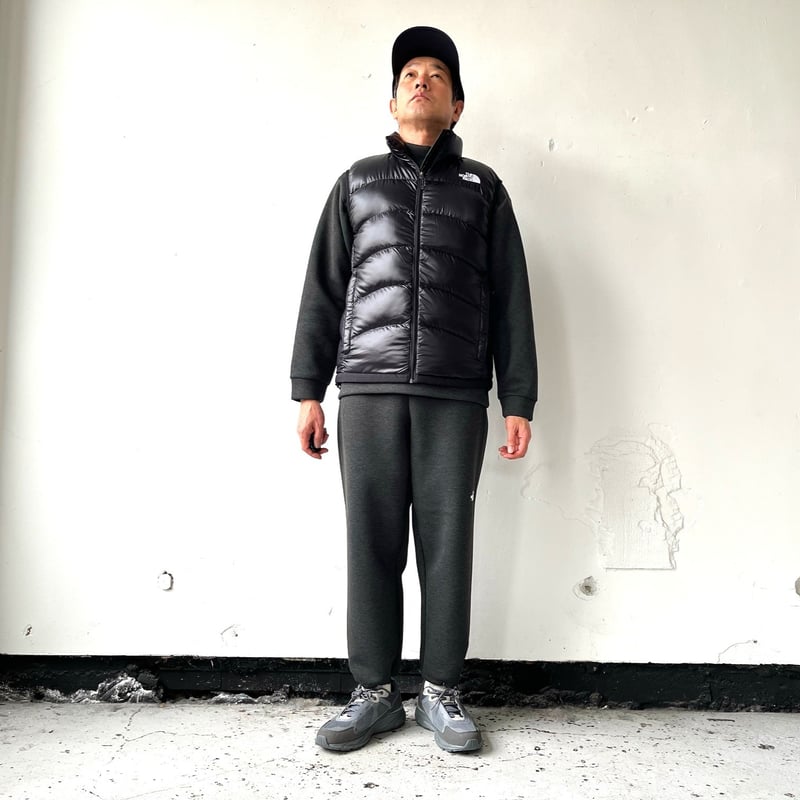 THE NORTH FACE テックエアースウェット モックネック（メンズ