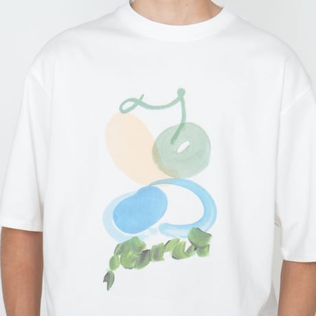 THE NORTH FACE PURPLE LABEL H/S Graphic Tee / NT3331N /パープルレーベル グラフィック Tee / ボタニカル Tee