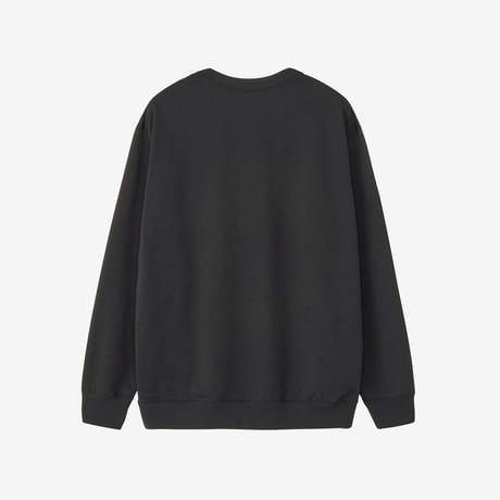 THE NORTH FACE スモールロゴヘザースウェットクルー（ユニセックス）／トレーナー / NT62532【裏パイル生地】