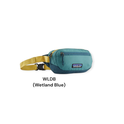 Patagonia/パタゴニア Terravia Mini Hip Pack 1L / テラヴ