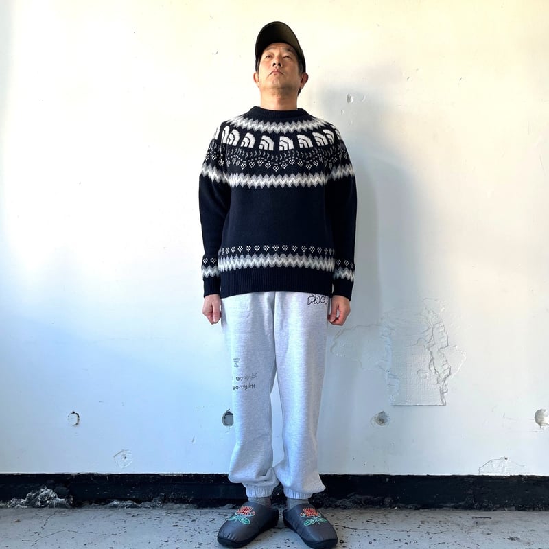 THE NORTH FACE Half Dome Nordic Sweater ハーフドームノ