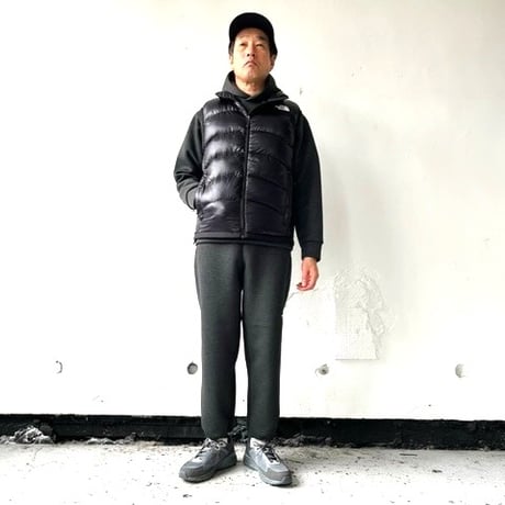 THE NORTH FACE テックエアースウェットワイドフーディ（メンズ） / NT62385