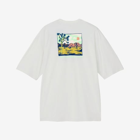 THE NORTH FACE ショートスリーブウォータースムースティー（メンズ）/ NT12431 / ノースフェイス 水陸両用Tシャツ
