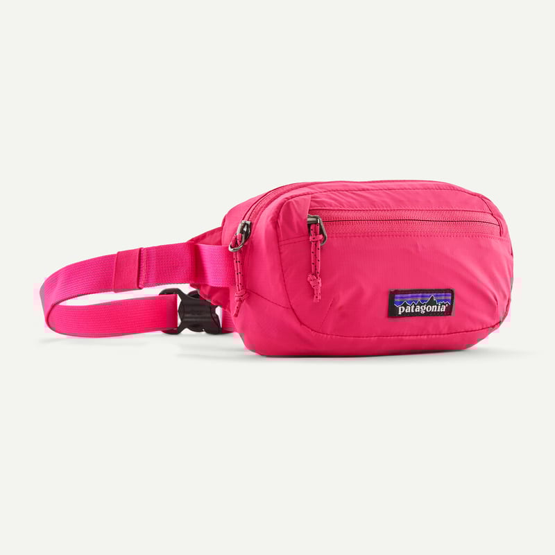 Patagonia/パタゴニア Terravia Mini Hip Pack 1L / テラヴ