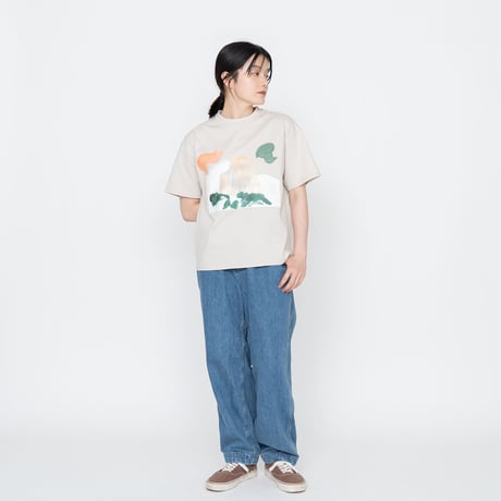 THE NORTH FACE PURPLE LABEL H/S Graphic Tee / NT3330N /パープルレーベル グラフィック Tee