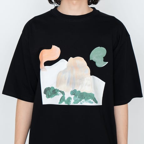 THE NORTH FACE PURPLE LABEL H/S Graphic Tee / NT3330N /パープルレーベル グラフィック Tee