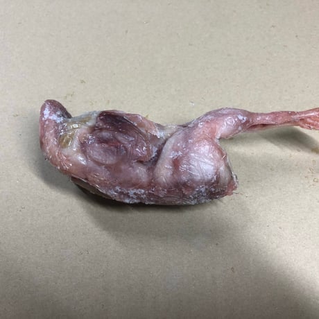 無投薬飼育で育てたうずら肉（丸）（冷凍）仕入れ品