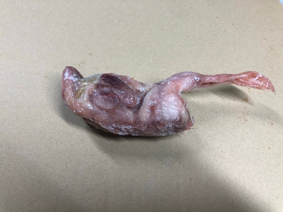 冷凍うずら（115羽）【送料込】 楽天市場】ウズラ 冷凍の通販