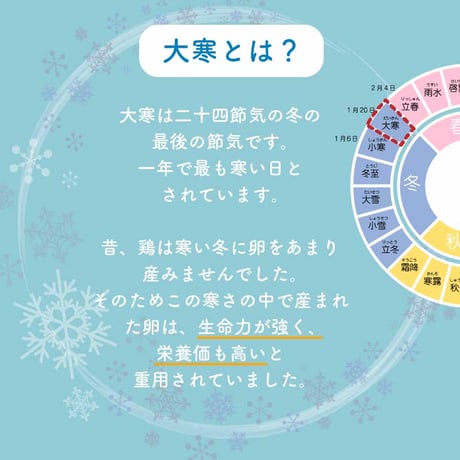 大寒卵50個（10卵パック×5）【ギフト】　＊数量限定＊
