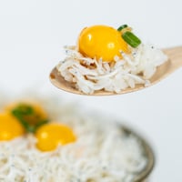 【浜名湖名物】シラス丼セット2人分（シラス100g+うずら卵20個）