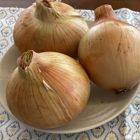 うずらトロ玉ねぎ（栽培中農薬不使用）