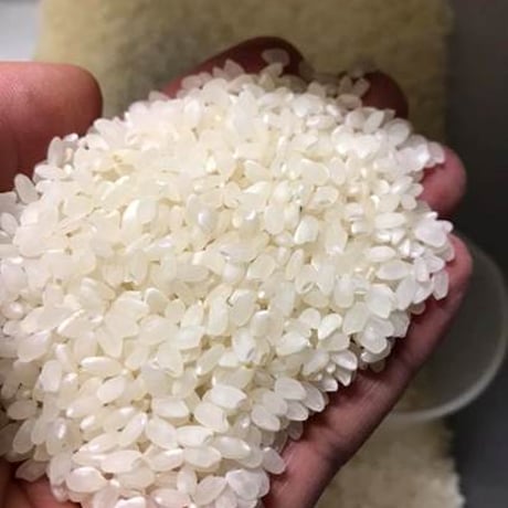 新米！令和7年度産【命の一粒】にこまる