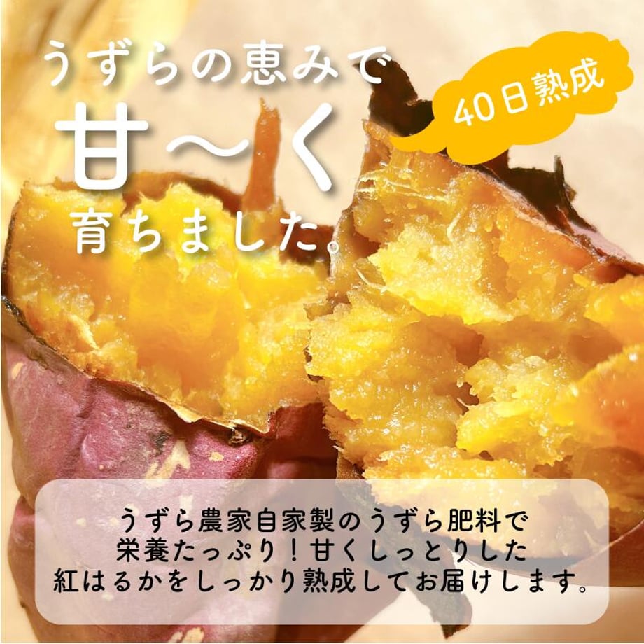 660cde7b26a38203837fa67b