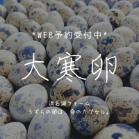 家庭用大寒卵60個　（10卵パック×6）＊数量限定＊