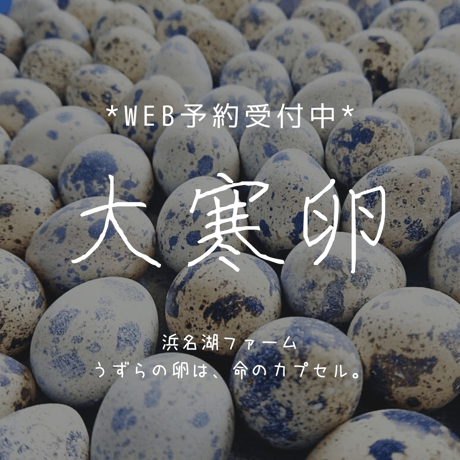 家庭用大寒卵セット＊数量限定＊
