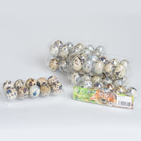 【家庭用】命のカプセル（うずらの卵）100個