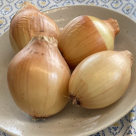 【シャキシャキ！】うずらシャキ玉（栽培中農薬不使用）