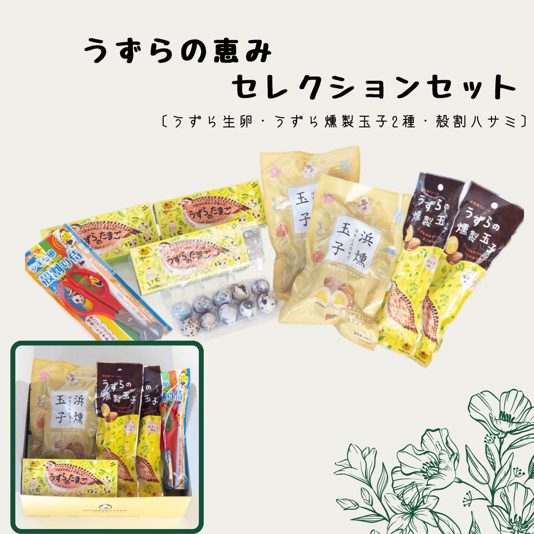 うずらの恵みセレクションセット〔うずら生卵・うずら燻製玉子2種・殻