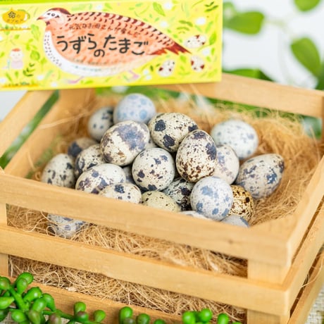 うずらの卵ギフトセット（うずらの生卵10個+うずらの燻製玉子5個入2袋 ）