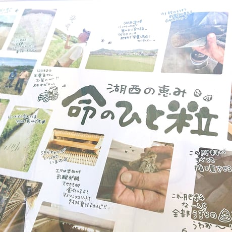 新米！令和7年度産【命の一粒】にこまる