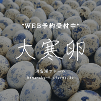 大寒卵セット　＊数量限定＊