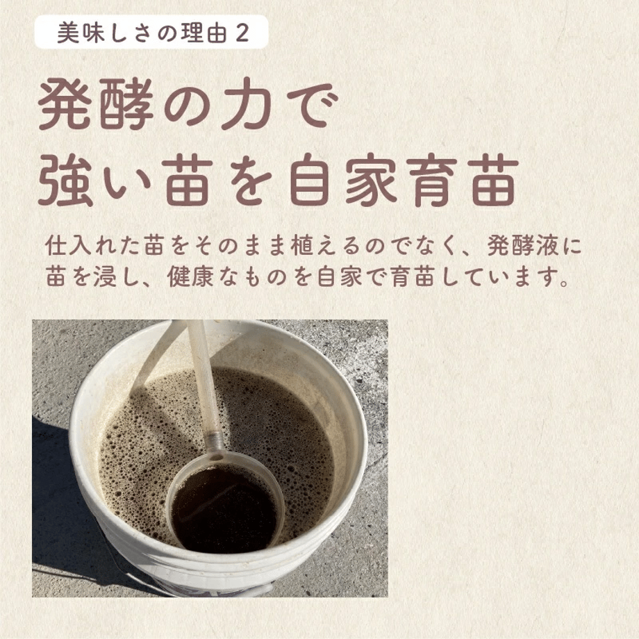 660cde7b26a38203837fa67b