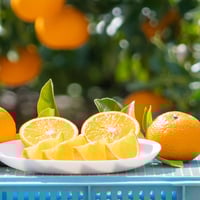 うずらスイートスプリング4キロ