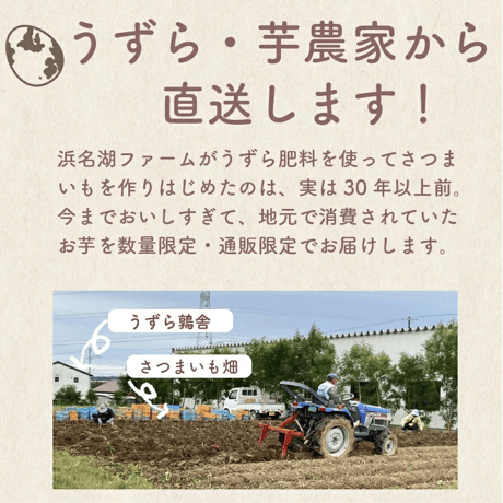 うずら育ちの熟成サツマイモ