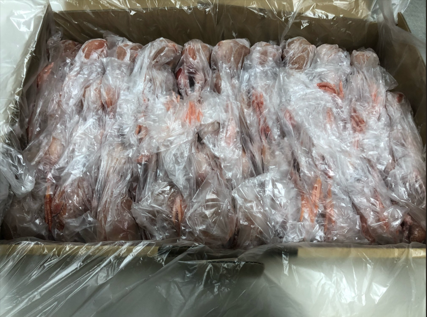 無投薬飼育で育てたうずら肉（丸）（冷凍） | うずら卵の浜名湖