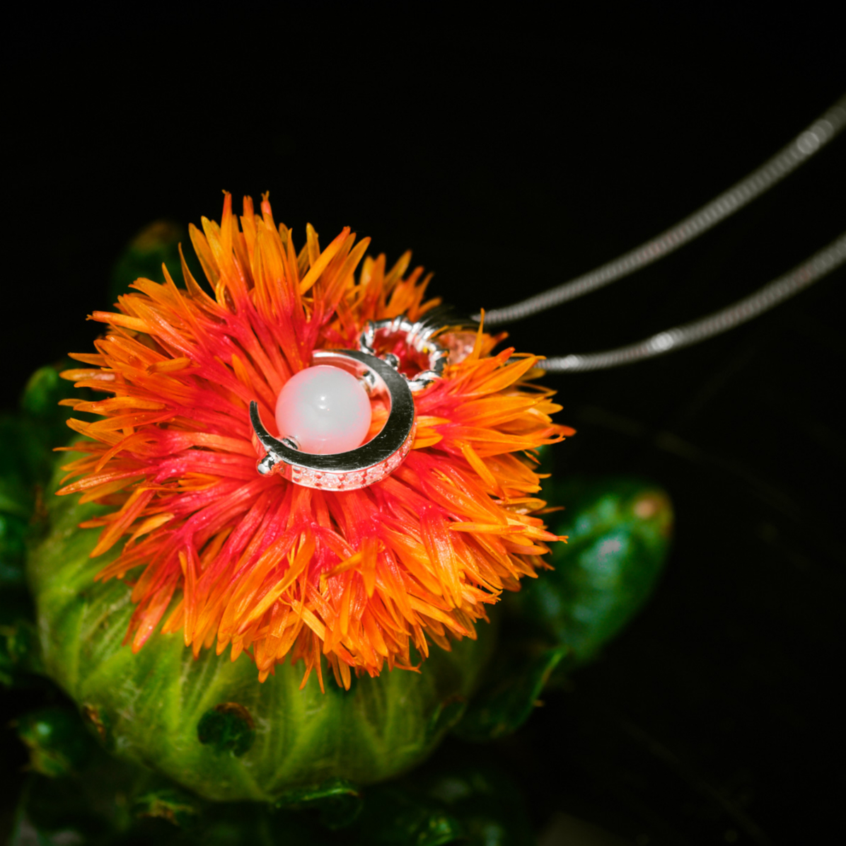 Memory of Moonbow | Dearest CROWN