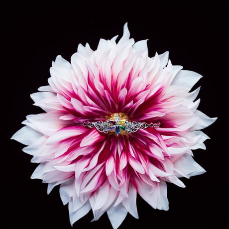 a vivid flower【Black】