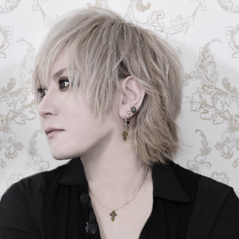 アクセサリー CDL TOKYO Eternity Pierce Black CDL Eternity Pierce シルバー925 - メルカリ