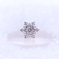 Snow Drop (×１)