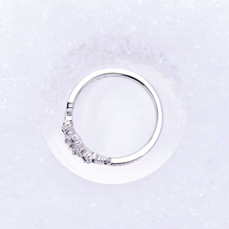 Snow Arch